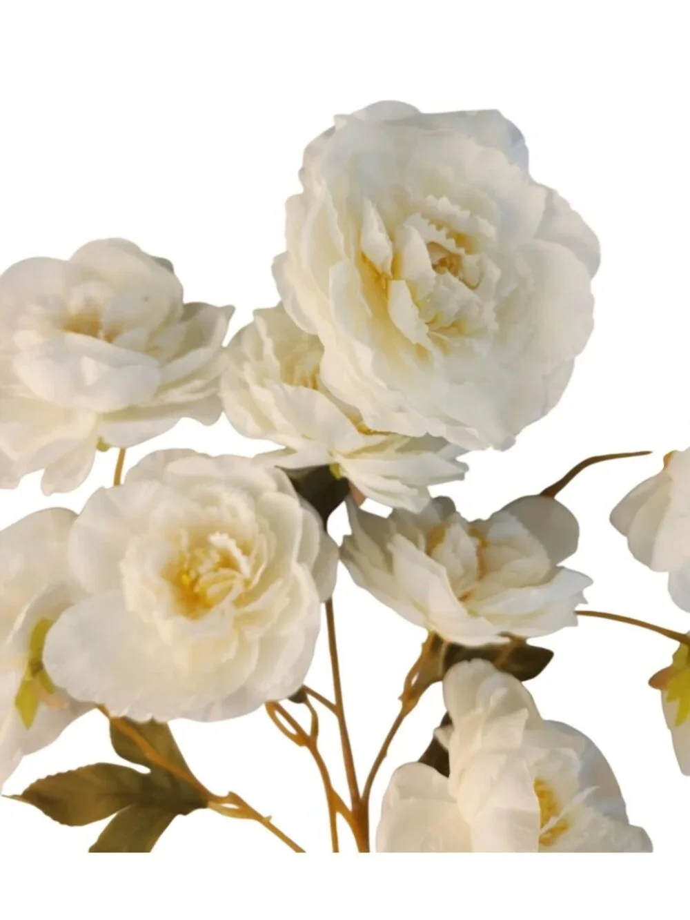 Cream Ranunculus Stems, Faux Ranunculus Flowers, Artificial Flowers, Ivory Flora